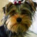 Pancho
