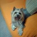 Trufa