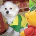 Bob luis
