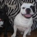 Bruno y nora