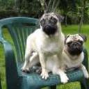 Lucas y lola