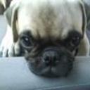 Fiona