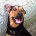 Negra