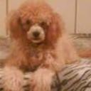 Niky