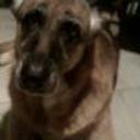 Jenny