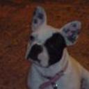 Shila