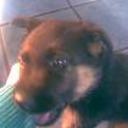 Fiona