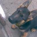 Fiona