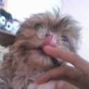 Ugly