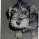 Camila (la linda vaquerita)