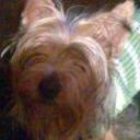 Magy