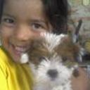 Pinqui