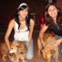 Tifusita y sarni-barni