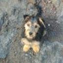 Roony