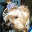 Bijou