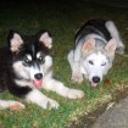 Max y maya