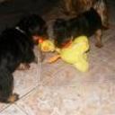 Ambar y tito