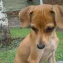 Camilo