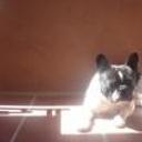 Lucho