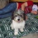 Manchas