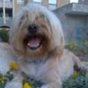 Coky