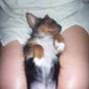 Yogui