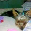 Facu