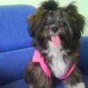 Ruti