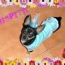 Chispa