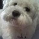 Bengie