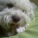 Bengie