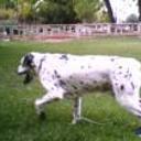 Ronny
