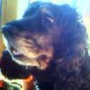 Blacky