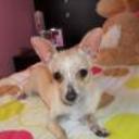 Estreyit
