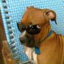 Neron