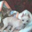 Samy