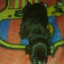 Alba