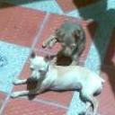 Samy
