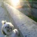 Nube