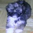 Nube