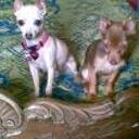 Samy