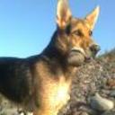 Yaco