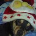 Rony