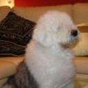 Romeo