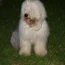 Romeo