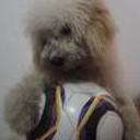 Roky