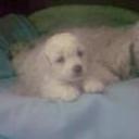 Simona e hijo de popin