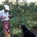 Farad
