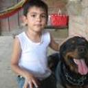 Farad