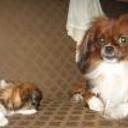 Oddy